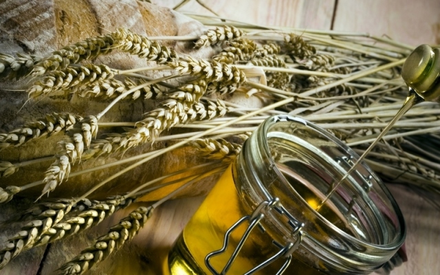 Utilizarea de germeni de grau ulei. ulei de germeni de grâu pentru față, păr, gene și piele. Proprietățile uleiului de germeni de grâu